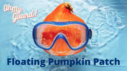 "gourd floating in pool with swim googles that says, "Oh My Gourd! Floating Pumpking Patch""