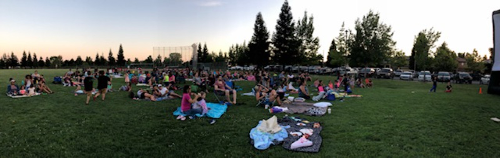"people in park for movie night"