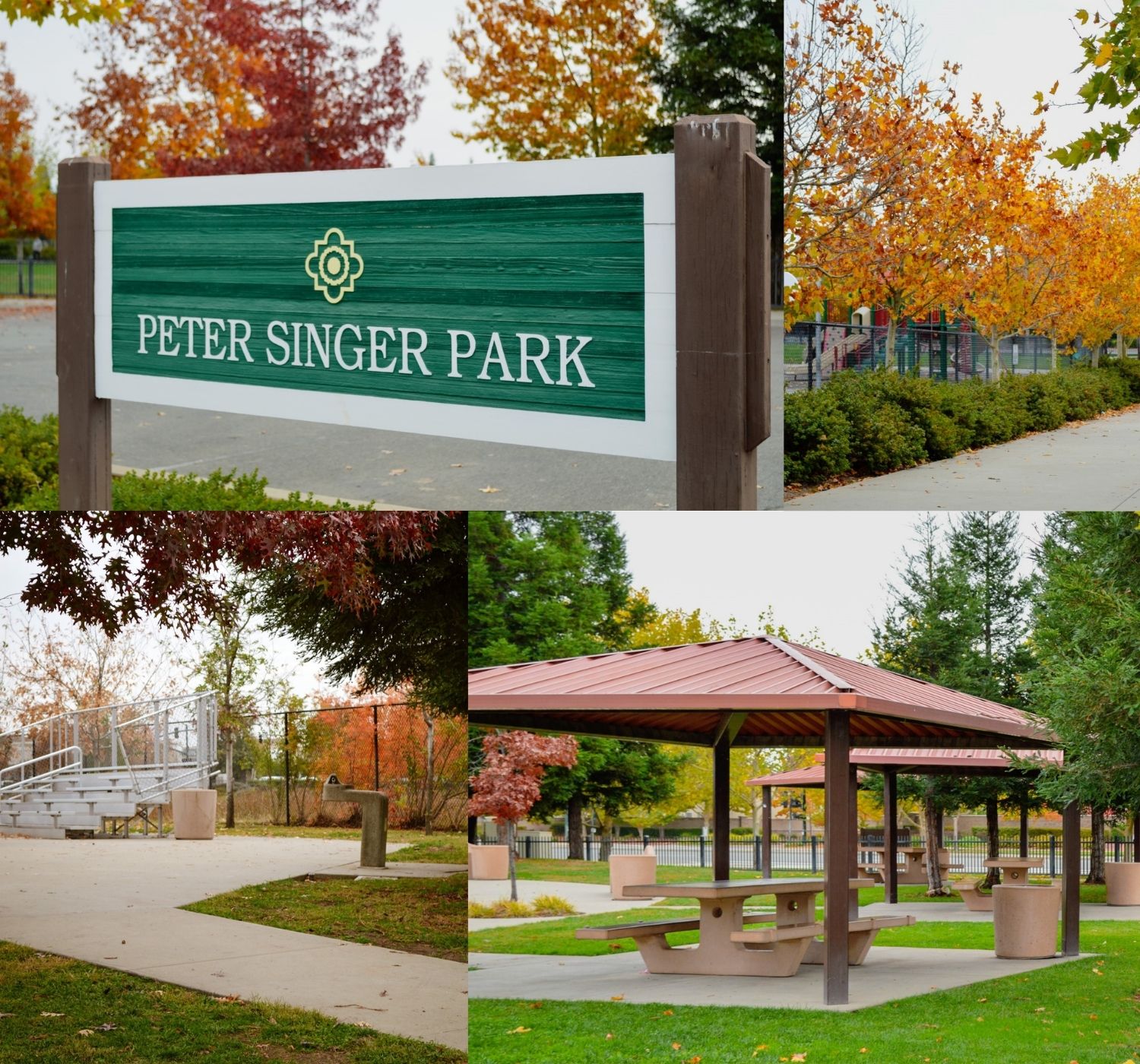 "Photo collage of park during fall "