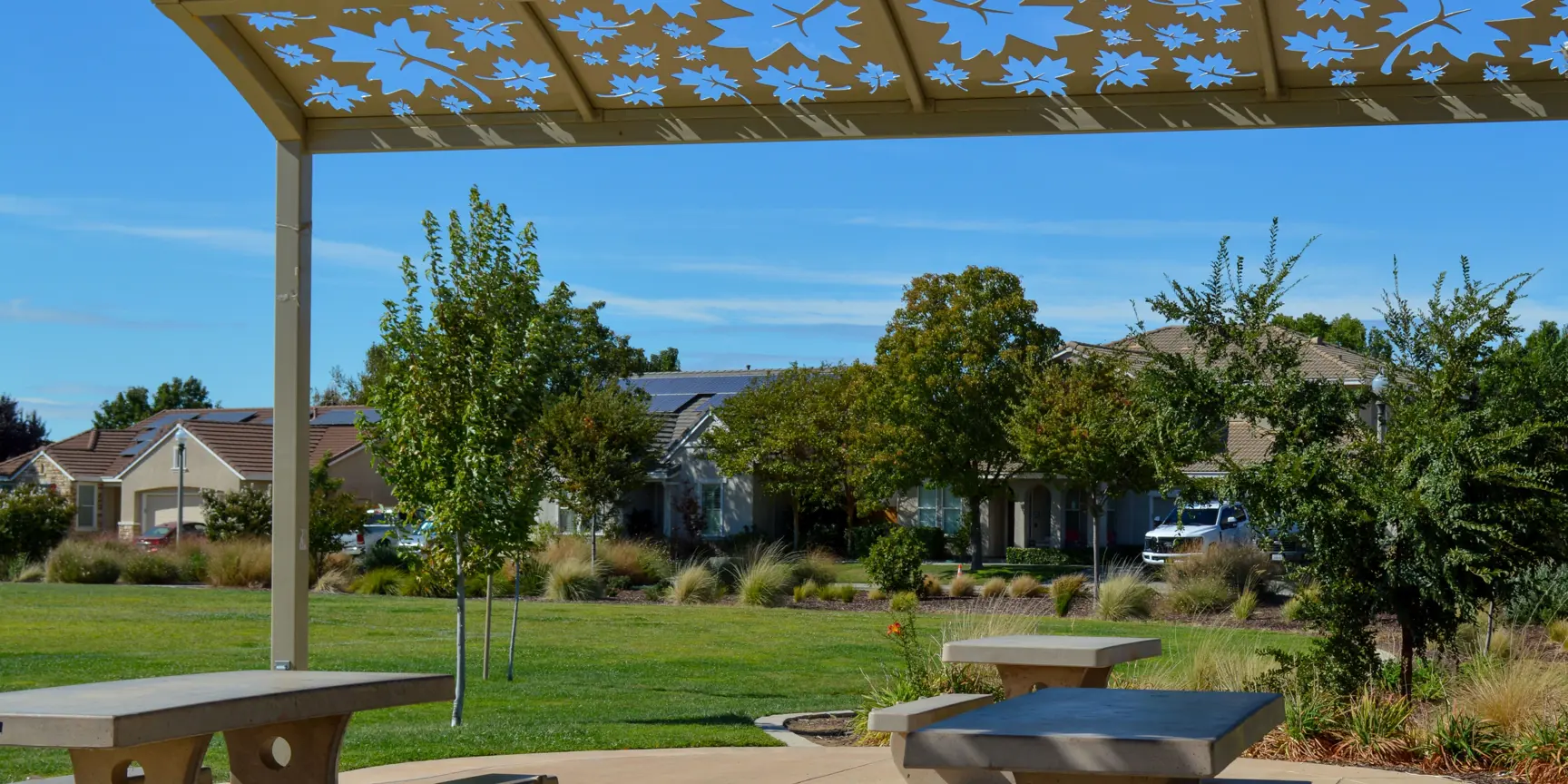 "Picnic tables with green grass on a sunny day"